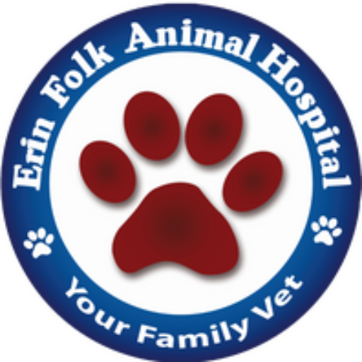 Erin Folk Animal Hospital